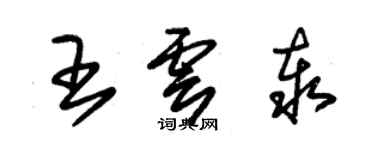 朱锡荣王云泰草书个性签名怎么写