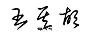 朱锡荣王其胡草书个性签名怎么写