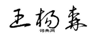 曾庆福王杨森草书个性签名怎么写