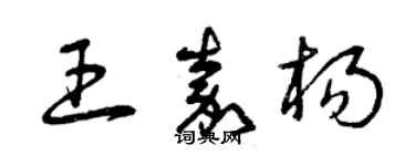 曾庆福王嘉杨草书个性签名怎么写