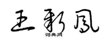 曾庆福王新凤草书个性签名怎么写