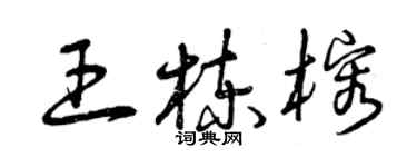 曾庆福王栋榕草书个性签名怎么写