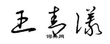 曾庆福王青仪草书个性签名怎么写