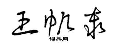 曾庆福王帆秦草书个性签名怎么写
