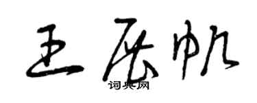 曾庆福王展帆草书个性签名怎么写