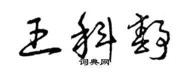 曾庆福王科静草书个性签名怎么写