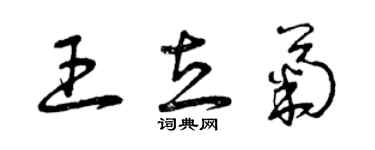 曾庆福王立菊草书个性签名怎么写