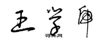 曾庆福王学虎草书个性签名怎么写