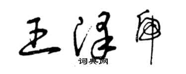 曾庆福王泽虎草书个性签名怎么写
