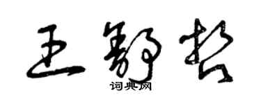 曾庆福王舒哲草书个性签名怎么写