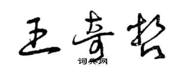 曾庆福王奇哲草书个性签名怎么写
