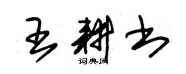 朱锡荣王耕书草书个性签名怎么写