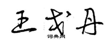 曾庆福王戈丹草书个性签名怎么写