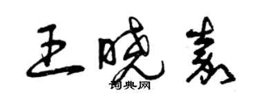 曾庆福王晓嘉草书个性签名怎么写