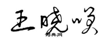 曾庆福王晓笑草书个性签名怎么写