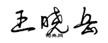 曾庆福王晓岳草书个性签名怎么写
