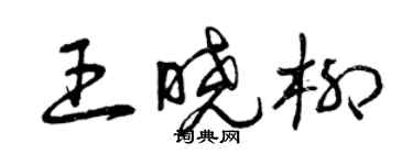 曾庆福王晓柳草书个性签名怎么写