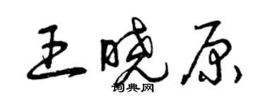 曾庆福王晓原草书个性签名怎么写
