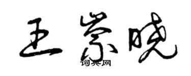 曾庆福王崇晓草书个性签名怎么写