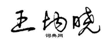 曾庆福王均晓草书个性签名怎么写
