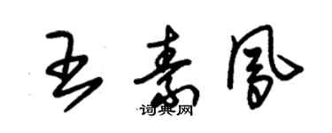 朱锡荣王素凤草书个性签名怎么写