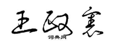 曾庆福王政宪草书个性签名怎么写