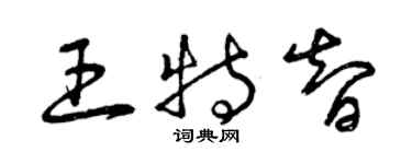 曾庆福王特智草书个性签名怎么写