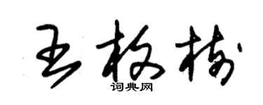 朱锡荣王枚树草书个性签名怎么写