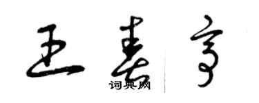 曾庆福王春亭草书个性签名怎么写