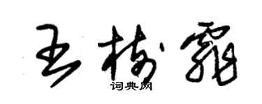 朱锡荣王树霏草书个性签名怎么写