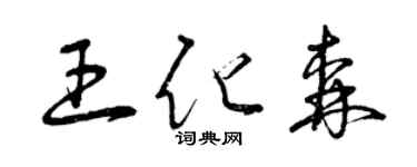 曾庆福王化森草书个性签名怎么写