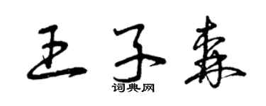 曾庆福王子森草书个性签名怎么写