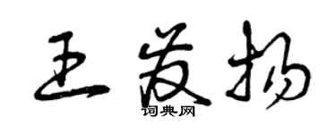 曾庆福王发扬草书个性签名怎么写