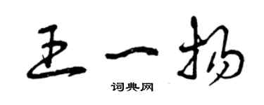 曾庆福王一扬草书个性签名怎么写