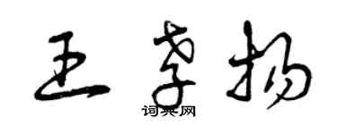 曾庆福王孝扬草书个性签名怎么写
