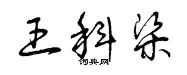 曾庆福王科梁草书个性签名怎么写