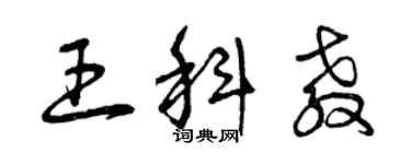 曾庆福王科教草书个性签名怎么写