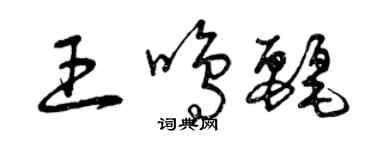曾庆福王鸣丽草书个性签名怎么写