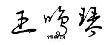 曾庆福王鸣琴草书个性签名怎么写