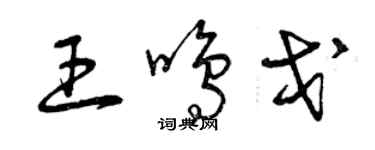 曾庆福王鸣戈草书个性签名怎么写