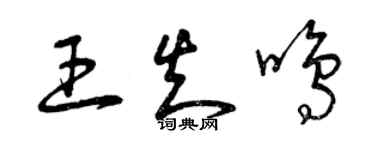曾庆福王知鸣草书个性签名怎么写