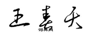 曾庆福王春夭草书个性签名怎么写