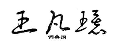 曾庆福王凡环草书个性签名怎么写