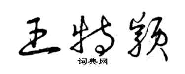 曾庆福王特颖草书个性签名怎么写