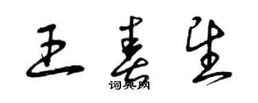 曾庆福王春望草书个性签名怎么写