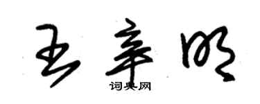 朱锡荣王辛明草书个性签名怎么写