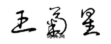 曾庆福王菊星草书个性签名怎么写