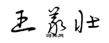 曾庆福王义壮草书个性签名怎么写