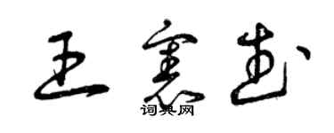 曾庆福王宪武草书个性签名怎么写