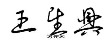 曾庆福王望兴草书个性签名怎么写